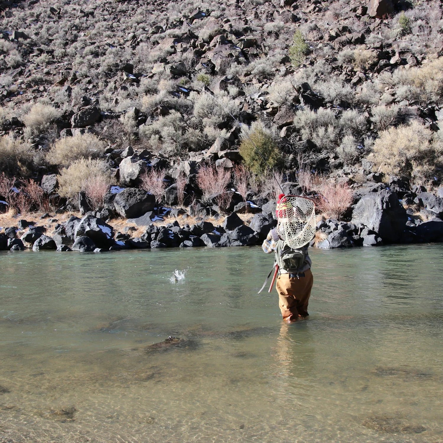 Fishing